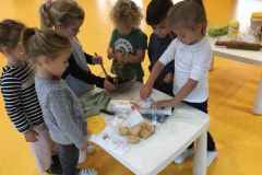 IMG_4809