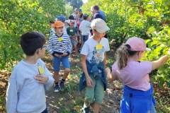 IMG_20260915_101513
