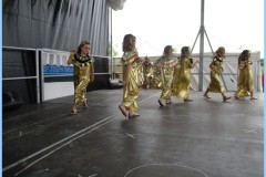 Image0010