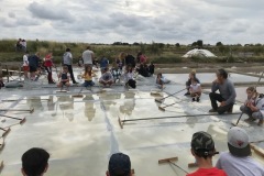 salines5