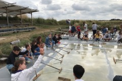 salines6