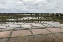 salines7