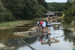salines8